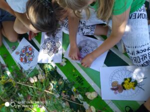 IMG-20190710-WA0074 (Media)